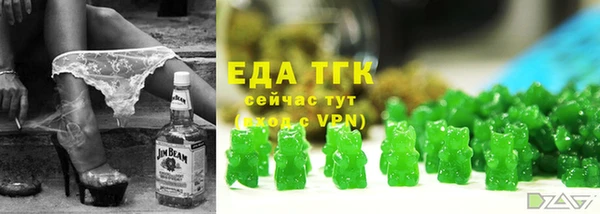 стаф Ельня