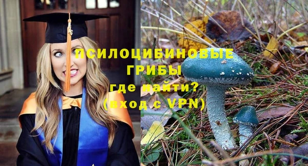 ПСИЛОЦИБИНОВЫЕ ГРИБЫ Приозерск