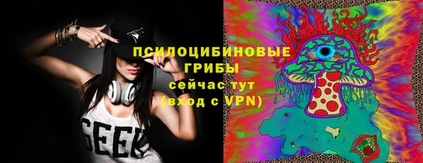 ПСИЛОЦИБИНОВЫЕ ГРИБЫ Приозерск